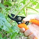 japanese garden scissors
